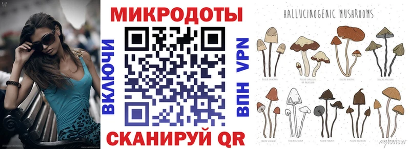 гидра ссылки  Салехард  это как зайти  Псилоцибиновые грибы прущие грибы 